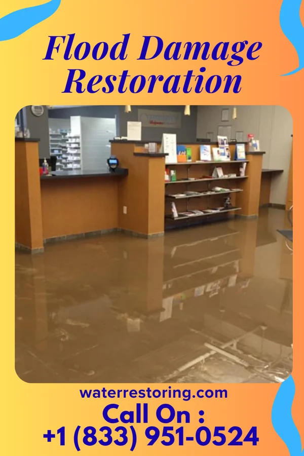 Flood Damage Restoration in Urania, LA