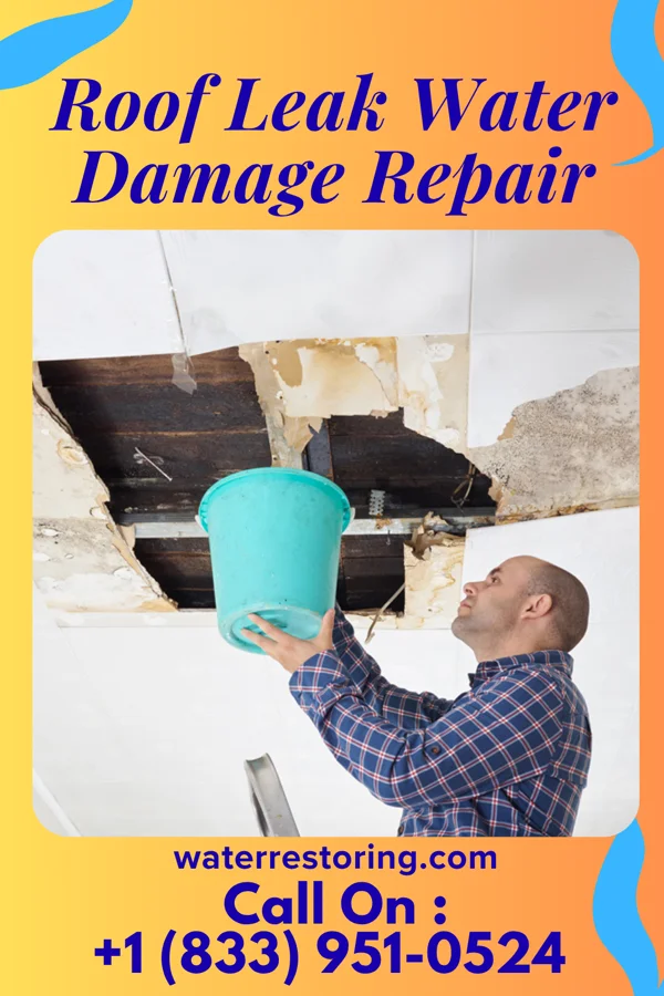 Roof Leak Water Damage Repair in Urania, LA
