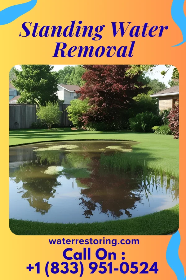 Standing Water Removal in Urania, LA